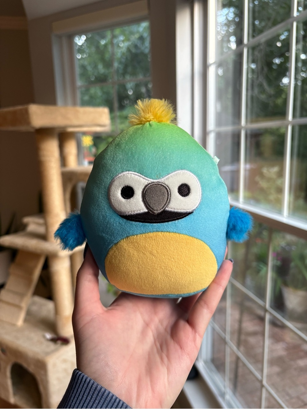 Baptise the Teal & Yellow 5in macaw bird Squishmallow NWOT